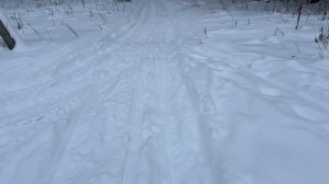 Лес. Короткометражка
