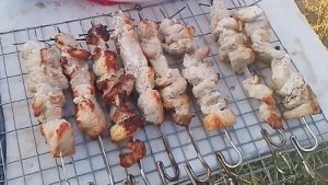 ШАШЛЫК В ТАНДЫРЕ/НОВЫЕ ЖИВОТНЫЕ НА ХОЗЯЙСТВЕ