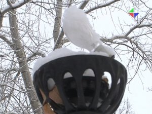 Сквер разбитых фонарей
