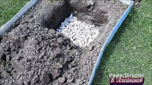 А мы всё ещё сажаем...