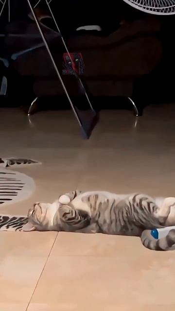 А вы как определяете свою ценность?¿? 😎🫶😼