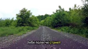 Аудио рассказ: Врачи выписали умирающую жену… Но муж отвёз её в глухую тайгу и оставил