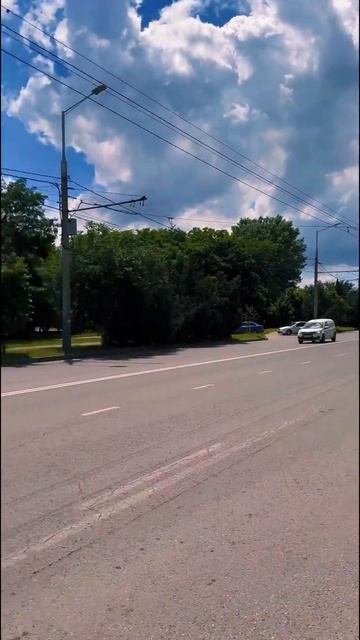 Жизнь на природе в городе