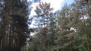 Перспективно ли жить в сельской местности?
