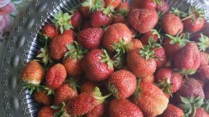 Ягодный день🍓🍓🍓