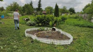 Приехала из санатория домой 🏡💃🥰 и сразу в огород 🪴🌷🌷🌷🥞