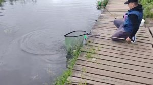 В приоритете сегодня чесночная кукуруза