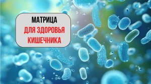 МАТРИЦА Раскрывает Тайны Здорового Кишечника! Детоксикации и улучшение пищеварения.