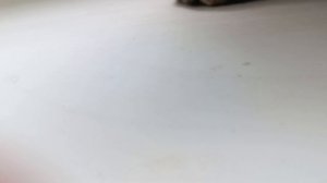 1000005556.mp4