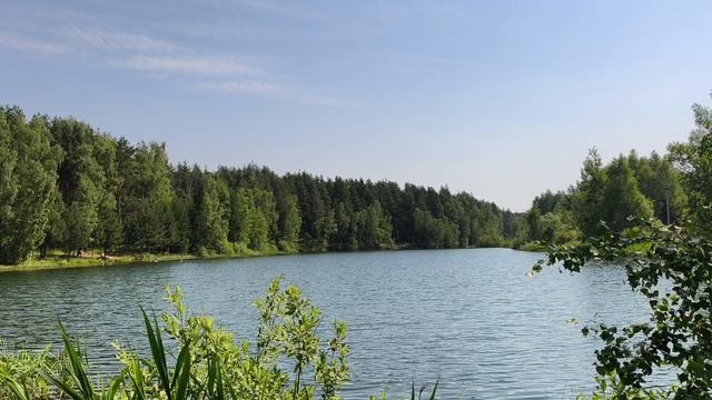 Летний день у пруда. Природа в фокусе. Лето во всей красе. Без суеты. Релакс. Июнь 2026