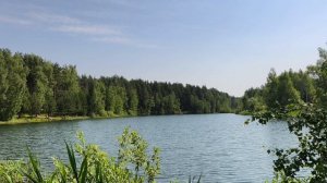 Летний день у пруда. Природа в фокусе. Лето во всей красе. Без суеты. Релакс. Июнь 2026