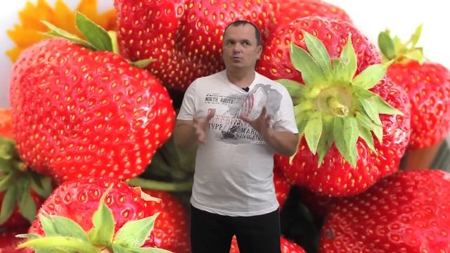 5 вещей которые надо делать с клубникой после плодоношения.
