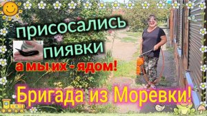 Ейск🌹Присосались пиявки! А мы их - ядом! Бригада из Моревки. Утка запеченная. Почём мясо? - обзор..