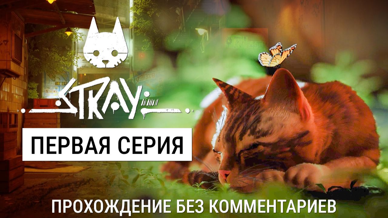 Stray (2022) - Первая серия (Полное прохождение без комментариев)