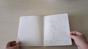 Закончила тетрадь с рисунками.