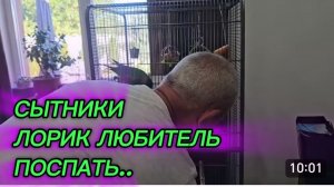 САМВЕЛ АДАМЯН, СЫТНИКИ, ЛОРИК ЛЮБИТЕЛЬ ПОСПАТЬ..