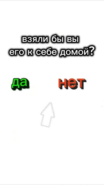???? смотреть онлайн