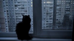 Ночной плейлист | speed up