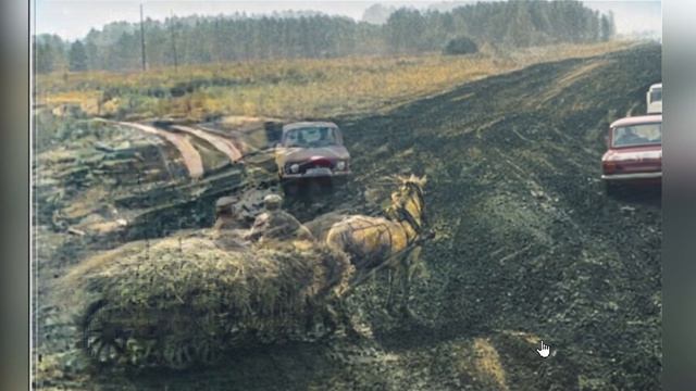 Тормоза придумали трусы