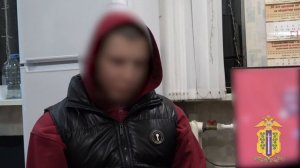 Два студента уличены липецкой полицией в оформлении для аферистов сим-карт и аккаунтов мессенджеров
