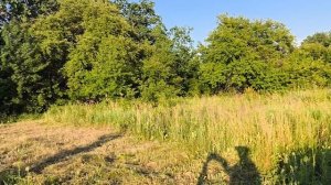 ПОБЕДИТЕЛЬ ЕСТЬ 🎂 Трава в рост ЧЕЛОВЕКА 🌿🌾🍀