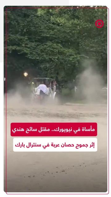 جموح حصان عربة سياحية ينهي حياة سائح هندي يبلغ من العمر 18 عاما بشكل مأساوي.