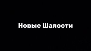 Трейлер Анти Шалуна