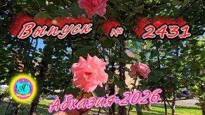 #Абхазия2026🌴 18.06.26г.🔥 Выпуск № 2431❗вчера +30°🌡ночью +18°🌡море +23,7°🐬