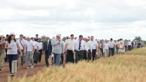 Областной День поля «Волжская Нива-2026»