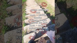 делать 2 часть