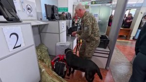 Реальный срок грозит за ввоз в Россию запрещенных препаратов из зарубежных стран.