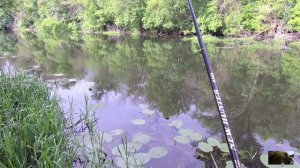 Рыбалка на р.Оскол. 30-31.05.2026г.