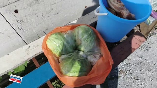 Приехала наша Людмила Михайловна, привезла домашние вкусности и овощи