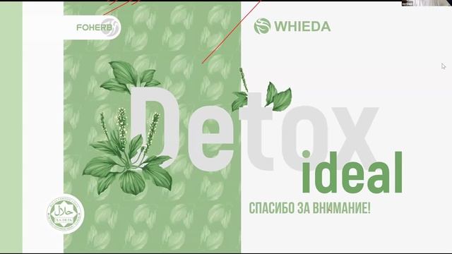 ДЕТОКС - DETOX IDEAL