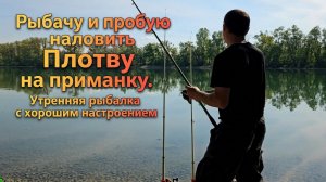 Рыбачу и пробую наловить Плотву на приманку. Утренняя рыбалка с хорошим настроением