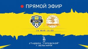 Чемпионат Беларуси по футболу | Вторая лига | Могилевская область |  ФК Друть - ФК Серволюкс-агро