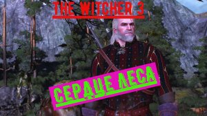 The Witcher 3 СЕРДЦЕ ЛЕСА