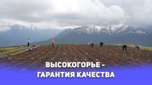 Высокогорье – гарантия качества