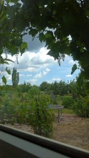 таймлапс