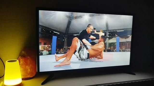 UFC 4. Часть первая:начало карьеры