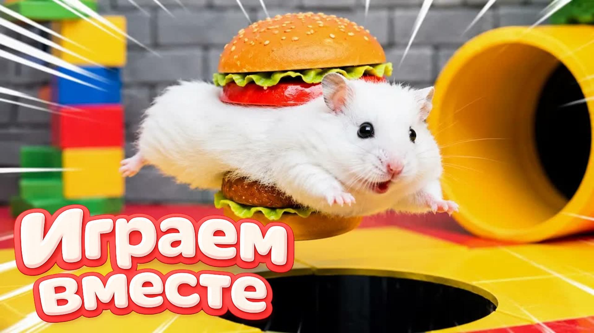 ХОМЯК ВЫБИРАЕТСЯ ИЗ СЕКРЕТНОЙ ХОМЯЧЕЙ ТЮРЬМЫ ! Забавные животные ! Супер лабиринт для хомяка №25 смотреть онлайн