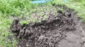 Самый лучший грунт для ленивой грядки