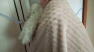 Денис стал гномом 2серия