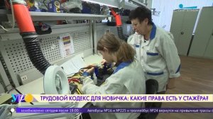 Трудовой кодекс для новичка: какие права есть у стажёров