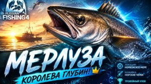 [Морская рыбалка] Точка на «Мерлуза» l Норвежское море l RF-4