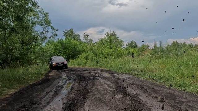 Olevandr - Калина вытащит