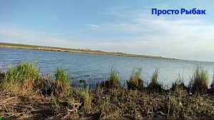 Рыбалка на Карася в дневное время. Небольшая речка и большой улов