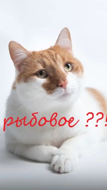 рыбовое ? пиксаровое!!!  #озвучилжж