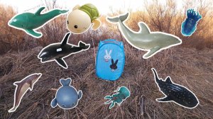 Игрушки морских животных обозреваем и учим: китова акула тюлень скат каракатица #игрушкидлядетей
