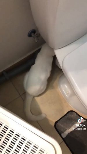 муж на час